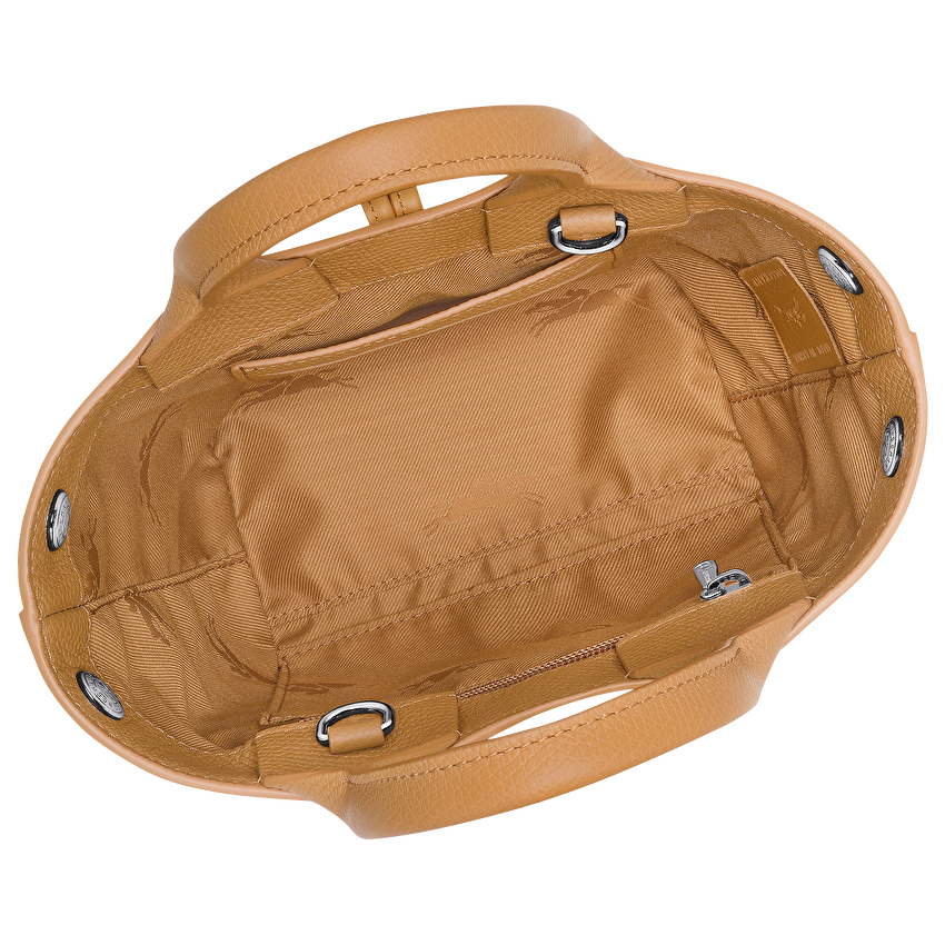 Picture of Le Roseau Handbag XS