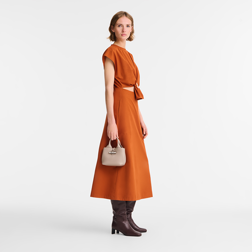 Picture of Le Roseau Handbag XS