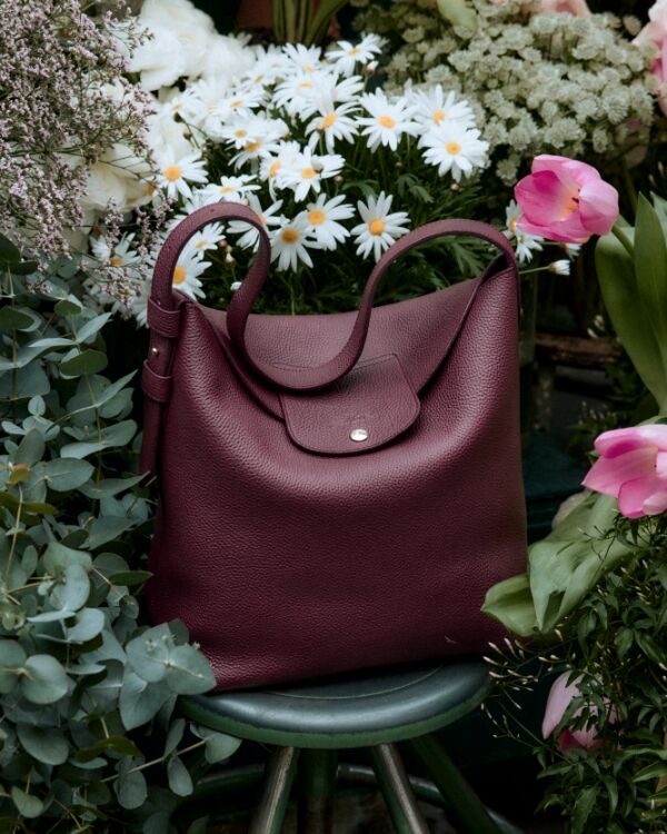 new-in-longchamp-bags