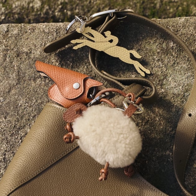 new-in-longchamp-bags