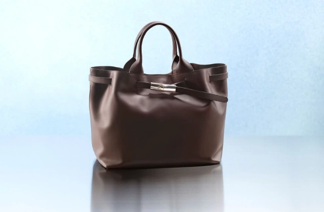 new-in-longchamp-bags